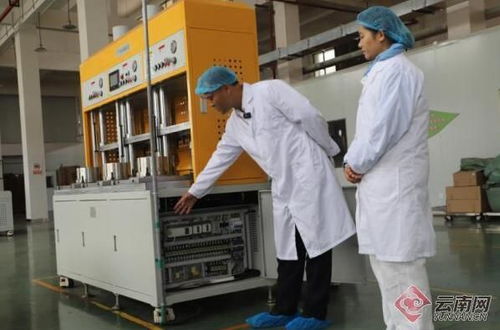 云南電信5G智慧賦能，經(jīng)緯編布“云上”現(xiàn)代茶產(chǎn)業(yè)新圖景